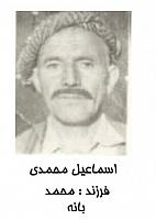 آلبوم اختصاصی تصاویر شهید اسماعیل محمدی . کد 1403302571 آ