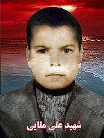 آلبوم اختصاصی تصاویر شهید علی ملایی . کد 1403303501 آ