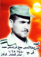 آلبوم اختصاصی تصاویر شهید علی اصغر بابایی مطلق . کد 1403306502 آ