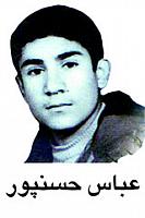 آلبوم اختصاصی تصاویر شهید عباس حسن پور . کد 1403309200 آ