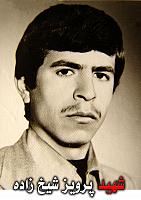 آلبوم اختصاصی تصاویر شهید پرویز شیخ زاده . کد 1403313869 آ