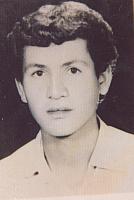 آلبوم اختصاصی تصاویر شهید رضا عابدی . کد 1403314745 آ