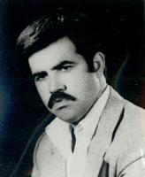 آلبوم اختصاصی تصاویر شهید محمدحسن قاسم ابادی . کد 1403316300 آ