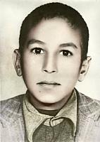 آلبوم اختصاصی تصاویر شهید محمدرضا قاسم زاده فخرابادی . کد 1403316313 آ