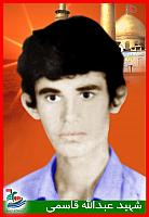 آلبوم اختصاصی تصاویر شهید عبداله قاسمی . کد 1403316360 آ