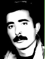 آلبوم اختصاصی تصاویر شهید اروج علی قره دولی . کد 1403316653 آ