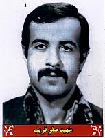 آلبوم اختصاصی تصاویر شهید صفر قریب پیربستی . کد 1403316664 آ