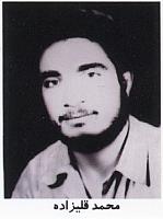 آلبوم اختصاصی تصاویر شهید محمد قلی زاده . کد 1403316757 آ