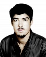 آلبوم اختصاصی تصاویر شهید محمدصالح محمدی . کد 1403318442 آ