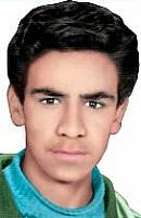 آلبوم اختصاصی تصاویر شهید محمدعلی محمدی . کد 1403318459 آ