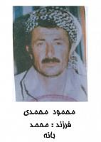 آلبوم اختصاصی تصاویر شهید محمود محمدی . کد 1403318465 آ