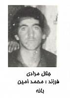 آلبوم اختصاصی تصاویر شهید جلال مرادی . کد 1403318727 آ