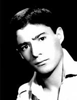 آلبوم اختصاصی تصاویر شهید محمدرضا رضایی . کد 1403322620 آ