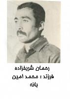 آلبوم اختصاصی تصاویر شهید رحمان شریف زاده . کد 1403322729 آ