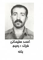 آلبوم اختصاصی تصاویر شهید احمد سلیمانی . کد 1403326583 آ