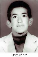 آلبوم اختصاصی تصاویر شهید شبیب ترغو . کد 1403326614 آ