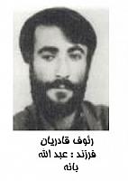 آلبوم اختصاصی تصاویر شهید ریوف قادریان . کد 1403326948 آ