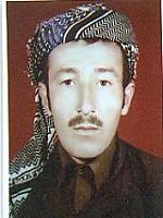 آلبوم اختصاصی تصاویر شهید محمود ابراهیمی . کد 1403327242 آ