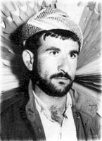 آلبوم اختصاصی تصاویر شهید عثمان خدرپور . کد 1403327354 آ