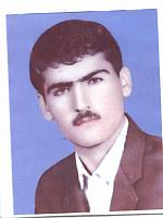 آلبوم اختصاصی تصاویر شهید شعبانعلی قدیری سیرزار . کد 1403328533 آ