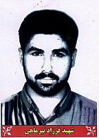 آلبوم اختصاصی تصاویر شهید حمیــد داوری دولت ابادی . کد 1403328667 آ