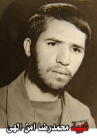 آلبوم اختصاصی تصاویر شهید محمدرضا امن الهی . کد 1403241232 آ