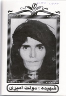 آلبوم اختصاصی تصاویر شهیده دولت امیری . کد 1403122845 آ