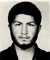 آلبوم اختصاصی تصاویر شهید شاه محمد امیری . کد 1403222138 آ