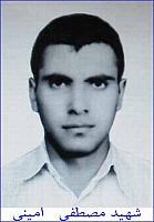 آلبوم اختصاصی تصاویر شهید مصطفی امینی . کد 1403114305 آ