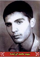 آلبوم اختصاصی تصاویر شهید محمود اوژولنده . کد 1403138730 آ