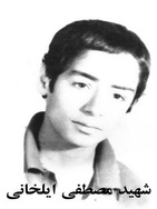 آلبوم اختصاصی تصاویر شهید مصطفی ایلخانی . کد 1403222482 آ