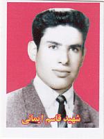 آلبوم اختصاصی تصاویر شهید قاسم ایمانی فراهانی . کد 1403114418 آ