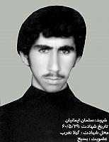 آلبوم اختصاصی تصاویر شهید سلمان ایمانیان . کد 1403124469 آ