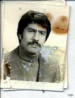 آلبوم اختصاصی تصاویر شهید حسن پهلوان حسن . کد 1403115178 آ