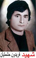 آلبوم اختصاصی تصاویر شهید فریدون حشمتیان . کد 1403242898 آ