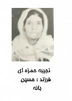 آلبوم اختصاصی تصاویر شهید نجیبه حمزه ای . کد 1403242975 آ