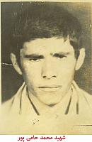 آلبوم اختصاصی تصاویر شهید محمد حامی پور . کد 1403200660 آ