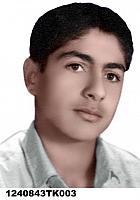 آلبوم اختصاصی تصاویر شهید سیدرسول حسینی نژاد . کد 1403309606 آ