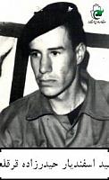 آلبوم اختصاصی تصاویر شهید اسفندیار حیدرزاده قرقلعه . کد 1403126823 آ
