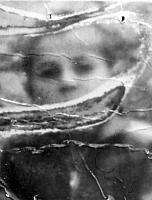 آلبوم اختصاصی تصاویر شهید مختار حسنی سورینی . کد 1403326098 آ