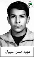 آلبوم اختصاصی تصاویر شهید محسن حبیبیان . کد 1403297578 آ