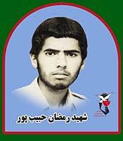 آلبوم اختصاصی تصاویر شهید رمضان حبیب پور . کد 1403272210 آ