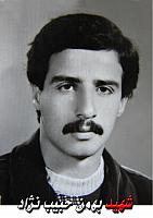 آلبوم اختصاصی تصاویر شهید بهمن حبیب نژاد . کد 1403309111 آ