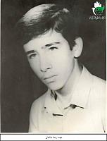 آلبوم اختصاصی تصاویر شهید رضا خانجانی . کد 1403310023 آ