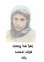 آلبوم اختصاصی تصاویر شهید زهرا خداپرست . کد 1403239756 آ