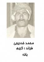 آلبوم اختصاصی تصاویر شهید محمد خدیجی . کد 1403274427 آ