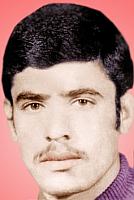 آلبوم اختصاصی تصاویر شهید میرزامحمود خرسندی . کد 1403202291 آ