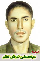 آلبوم اختصاصی تصاویر شهید عباس علی خوش نظر . کد 1403275052 آ