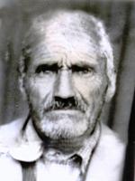 آلبوم اختصاصی تصاویر شهید قیطولی خیرابادی . کد 1403122823 آ