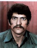 آلبوم اختصاصی تصاویر شهید نوروزعلی دوستی دواب . کد 1403322551 آ